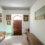 Cuprascisci *